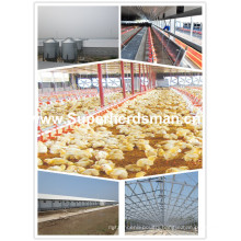 Prefabricat; ED Poultry Shed with Full Set Automatic Poutry Equipment